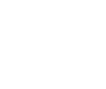 skol-casino-logo