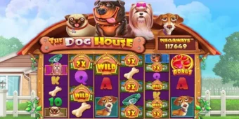 The Dog House 1