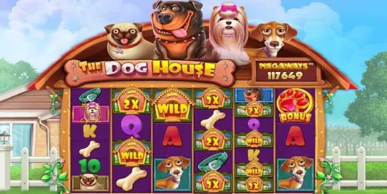 The Dog House 1