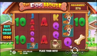 the-dog-house-2